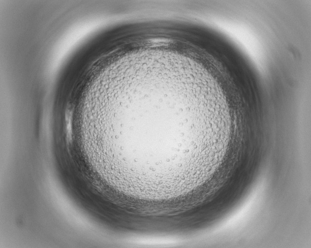 X0000114171150200911191241