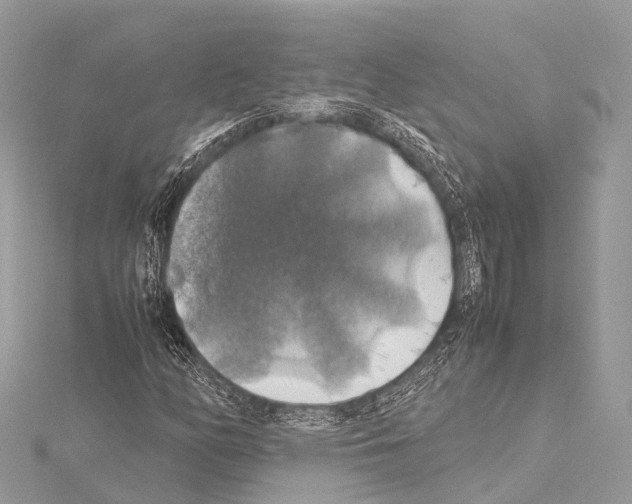 X0000114171158200911191241