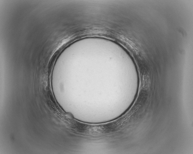 X0000114171165200911191240