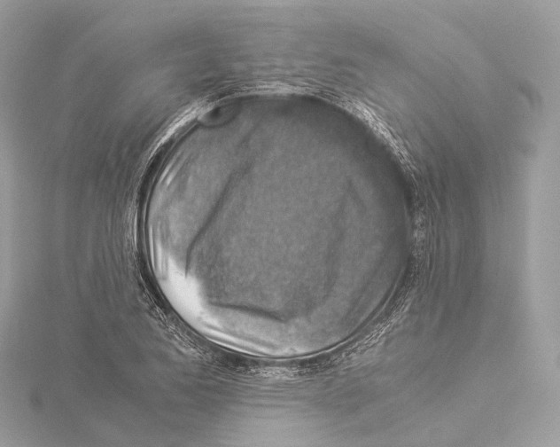X0000114171173200911191240