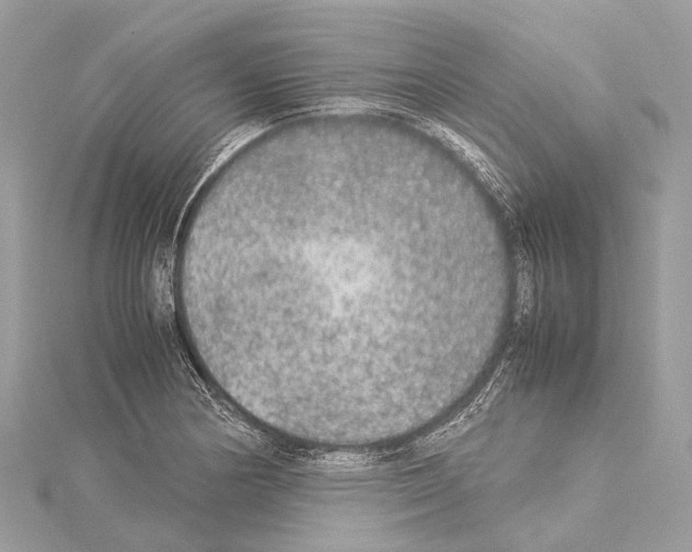 X0000114171178200911191240