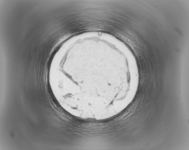 X0000114171179200911191240
