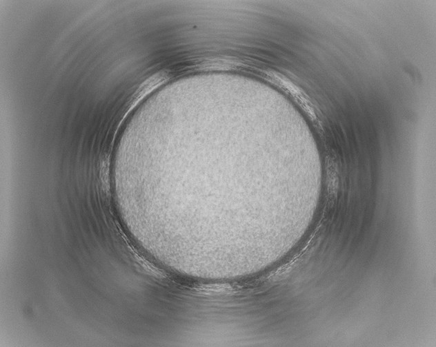 X0000114171186200911191240