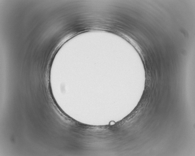 X0000114171195200911191240