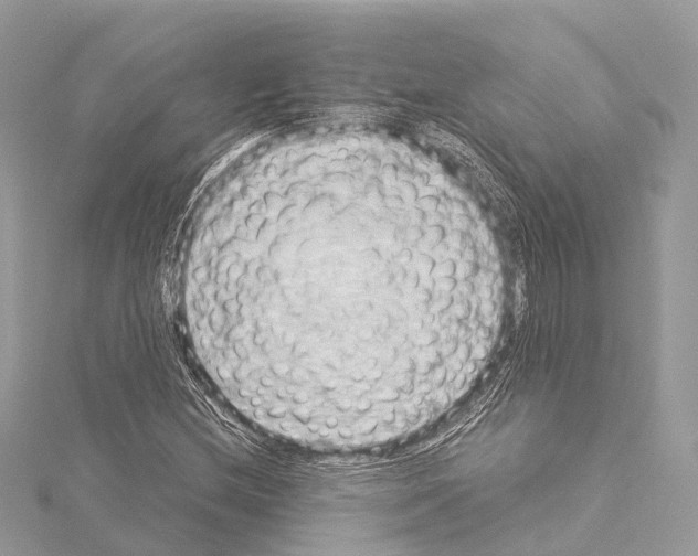 X0000114171212200911191240