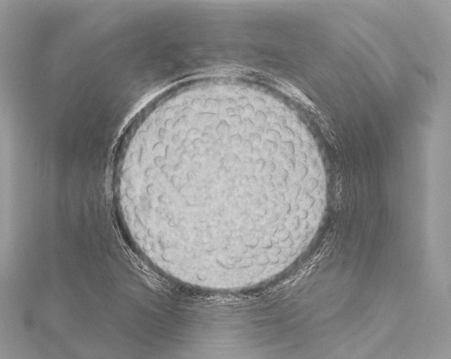 X0000114171216200911191240