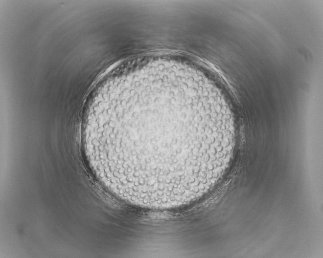 X0000114171220200911191240