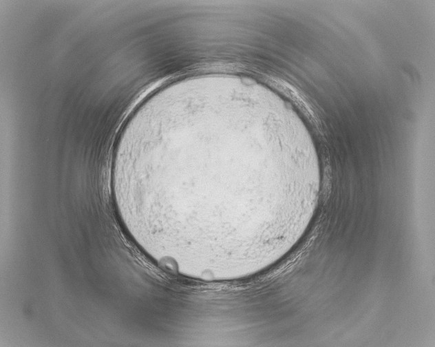 X0000114171228200911191240
