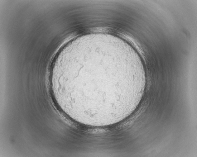 X0000114171235200911191240