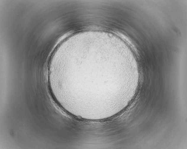 X0000114171238200911191240