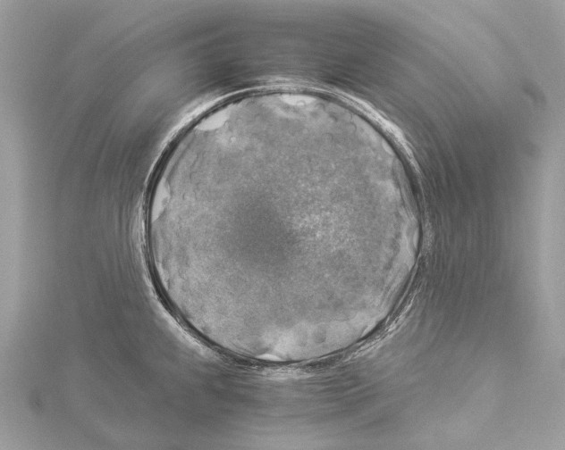 X0000114171239200911191240