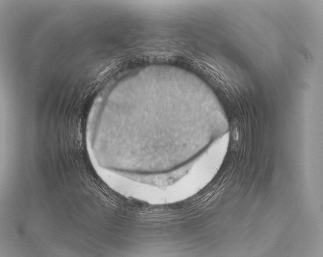 X0000114171252200911191239