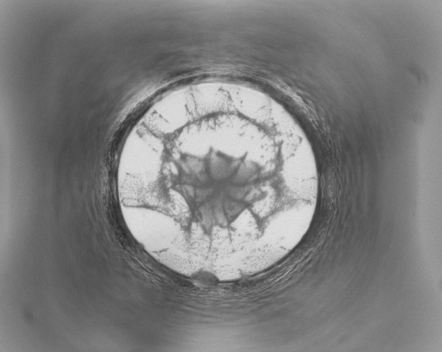 X0000114171263200911191239