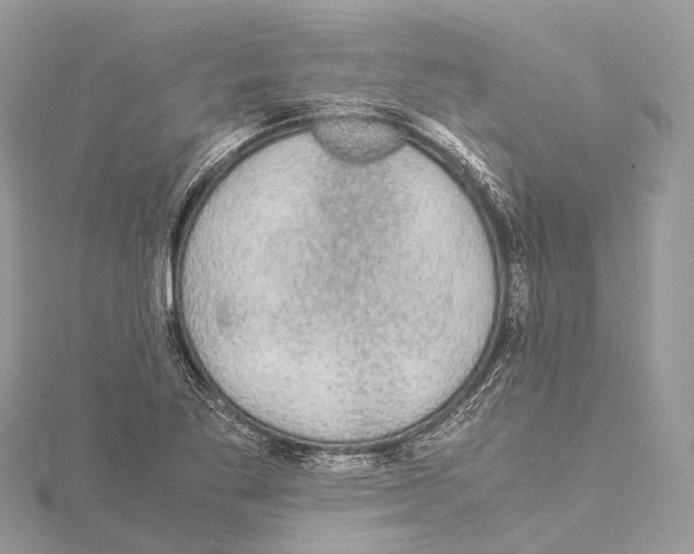 X0000114171269200911191239