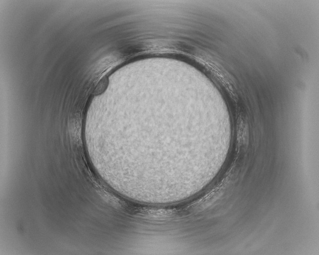 X0000114171273200911191239