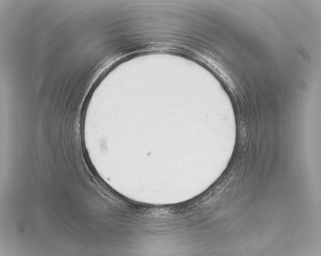 X0000114171283200911191239