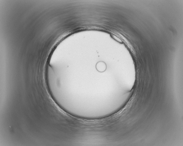 X0000114171285200911191239