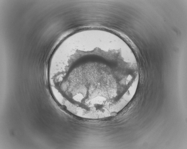 X0000114171295200911191239