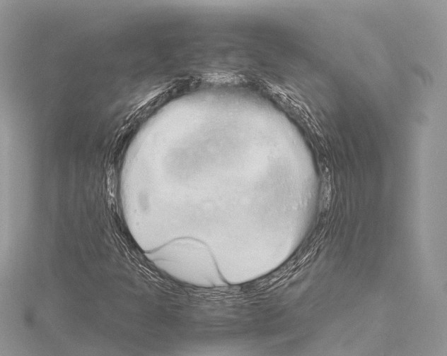 X0000114171301200911191238