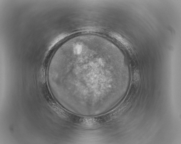 X0000114171310200911191238