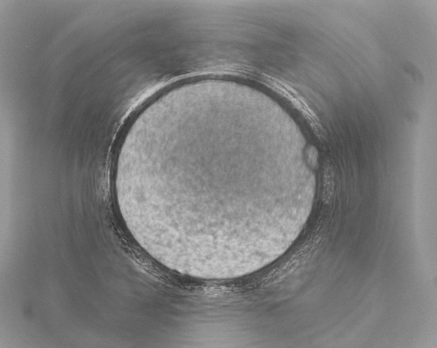 X0000114171316200911191238