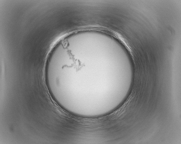 X0000114171320200911191238