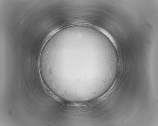X0000114171338200911191239