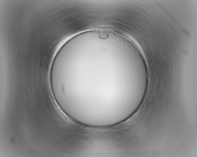 X0000114171344200911191239