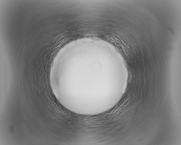 X0000114171345200911191238