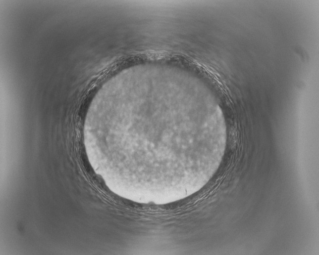 X0000114171349200911191238