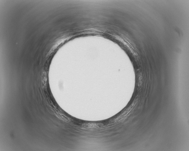 X0000114171355200911191238