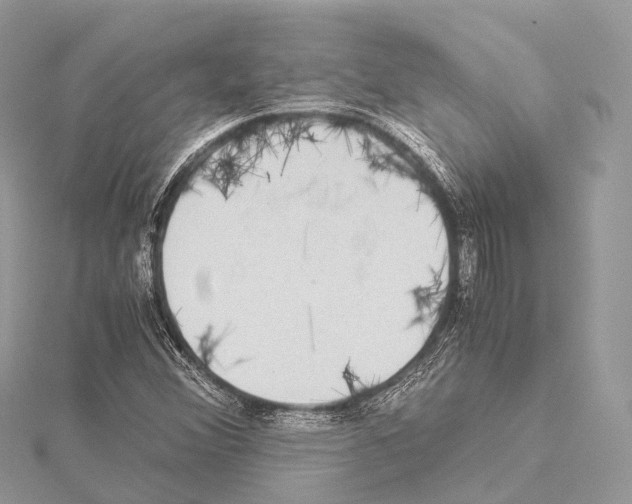 X0000114171356200911191238