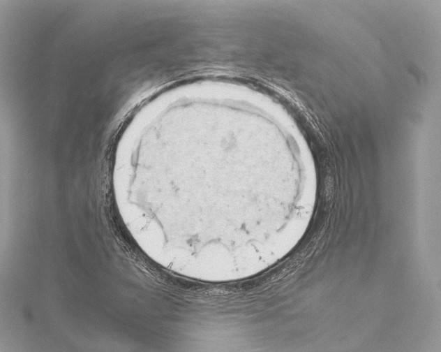 X0000114171359200911191238