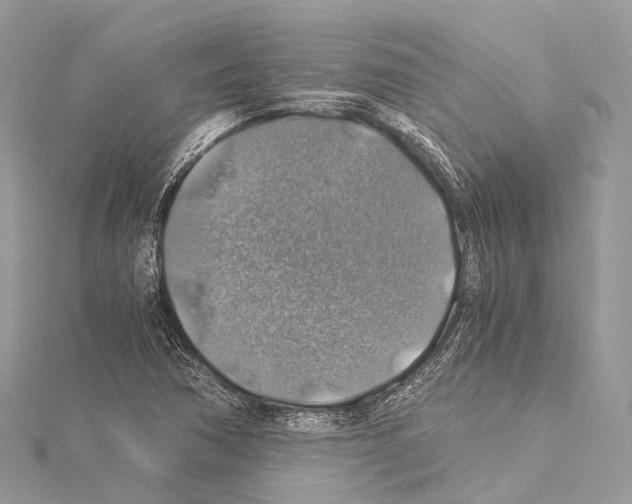 X0000114171362200911191238