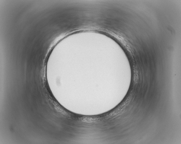 X0000114171366200911191238