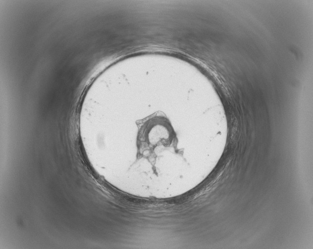 X0000114171367200911191238