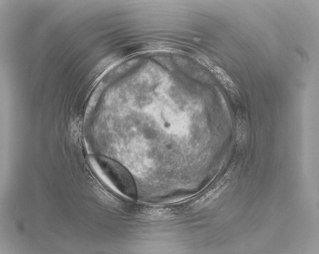 X0000114171369200911191238