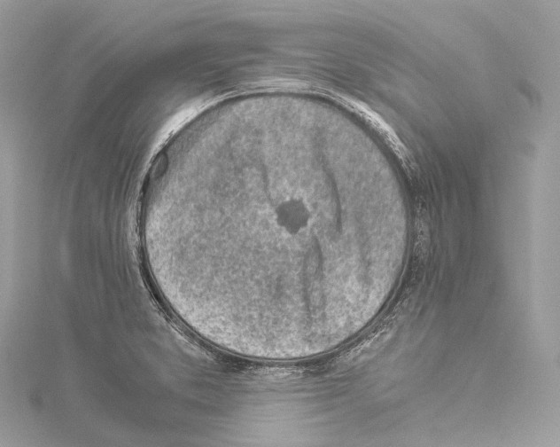 X0000114171373200911191238