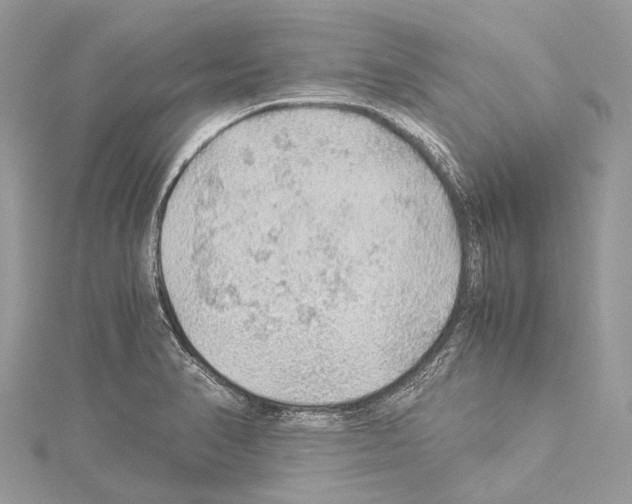 X0000114171374200911191238