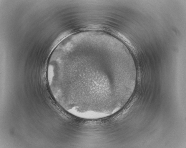 X0000114171378200911191238