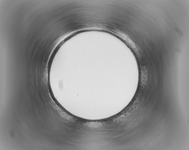 X0000114171380200911191238