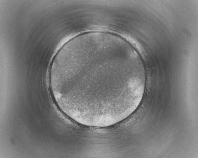 X0000114171382200911191238