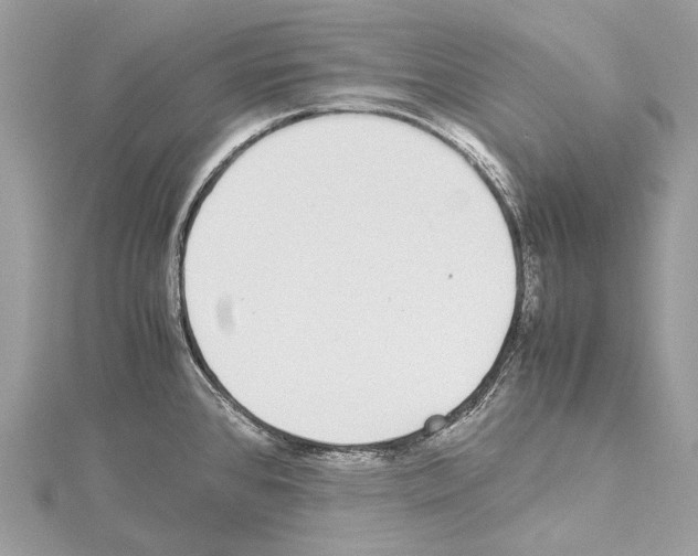 X0000114171384200911191238