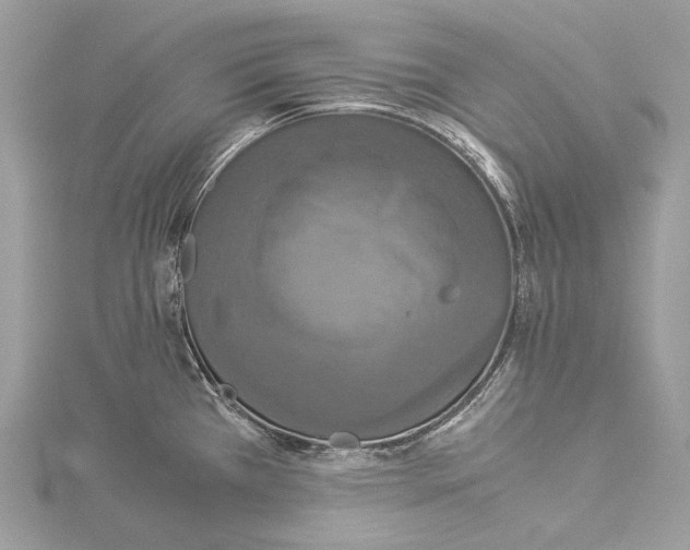 X0000114171385200911191238