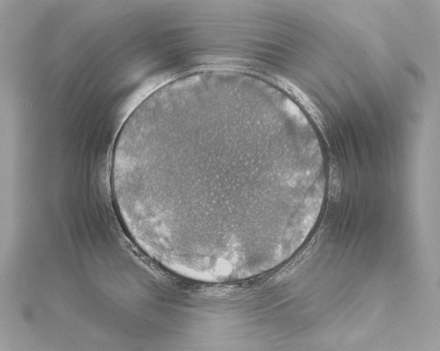 X0000114171386200911191238