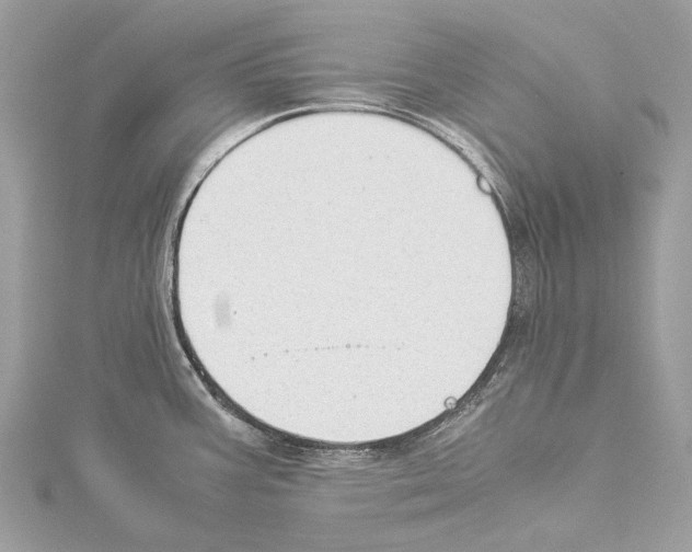 X0000114171387200911191238