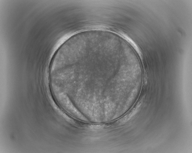 X0000114171389200911191238