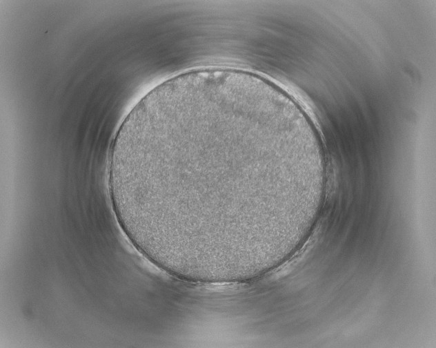 X0000114171390200911191238