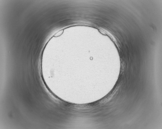 X0000114171391200911191238