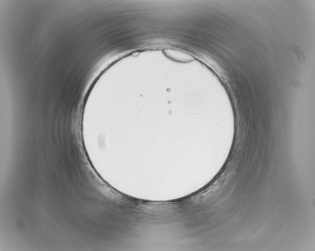 X0000114171392200911191238